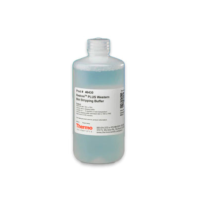 53104. RESTORE PLUS WESTERN BLOT STRIPPING BUFFER 500ML - PIERCE