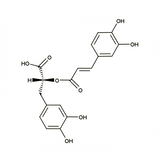 17971. STD ROSMARINIC ACID 20MG - EXTRASYNTHESE