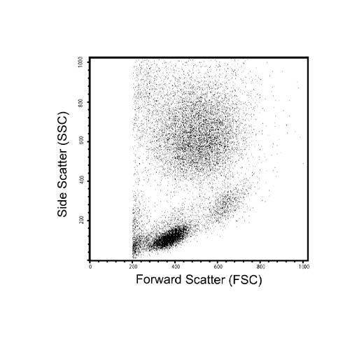 22382. BUFFER LYSING 10X CONCENTRADO 100ML BD BIOSCIENCES CTR Scientific