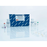 53973. KIT DE PURIFICACION DE MEDIOS QIAAMP MINELUTE 50 PREPARACIONES QIAGEN