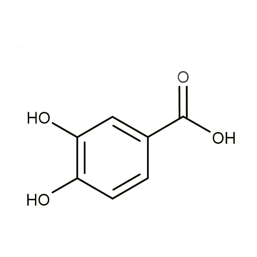 18516. STD PHOTOCATECHUIC ACID 1GR - EXTRASYNTHESE