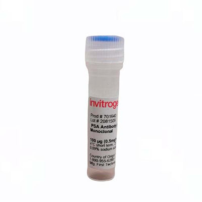 6401. PSA RECOMBINANT RABBIT MONOCLONAL ANTIBODY (4H23L24) 100UG - INVITROGEN