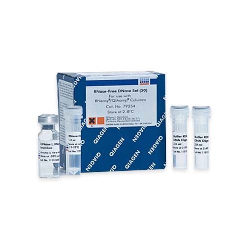 54047. SET DE DNASAS LIBRES DE RNASAS 50 MINIPREPS - QIAGEN