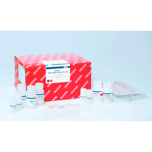 53941. MICRO KIT DE PURIFICACION SIMULTANEA DNA/RNA 50 MINIPREPS QIAGEN