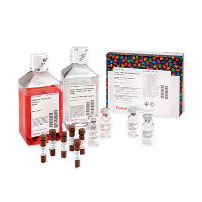 53222. PRIMARY CARDIOMYOCYTE ISOLATION KIT - PIERCE