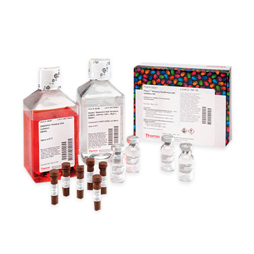 53222. PRIMARY CARDIOMYOCYTE ISOLATION KIT - PIERCE