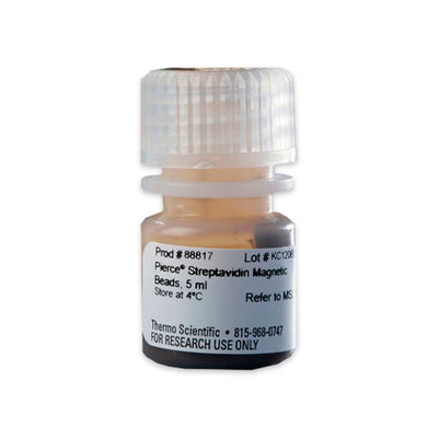 53308. PERLAS MAGNETICAS DE ESTREPTAVIDINA 5ML - PIERCE