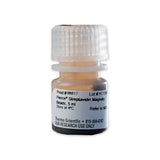 53308. PERLAS MAGNETICAS DE ESTREPTAVIDINA 5ML - PIERCE