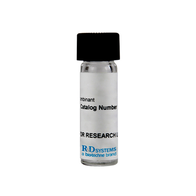 18189. RECOMBINANT HUMAN LH ALPHA/BETA HETERODIMER PROTEIN 10UG - R&D SYSTEMS