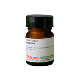 52933. LYZOZYME 5 GM - PIERCE