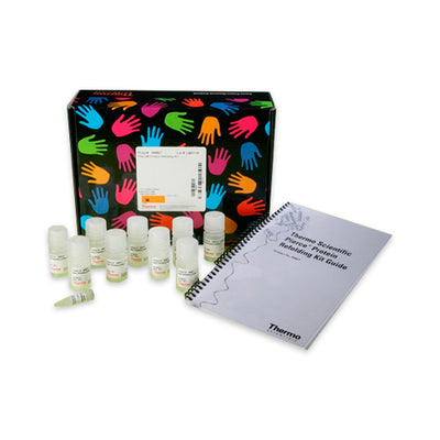 53212. PROTEIN REFOLDING KIT 100 REACTIONS - PIERCE