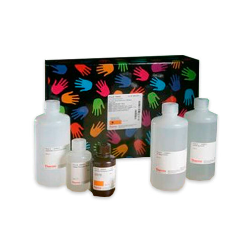 10192. CHEMILUMINISCENT NUCLEIC ACID DETECTION MODULE KIT 10 BLOTS P