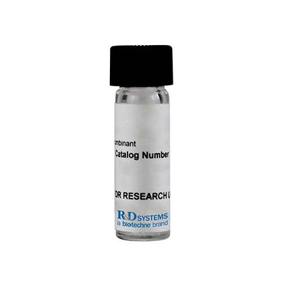22687. RECOMBINANT MOUSE ISM1 PROTEIN CF 50UG R&D SYSTEMS