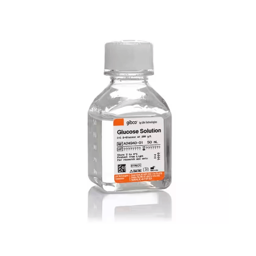 53699. SOLUCION DE GLUCOSA 50ML GIBCO