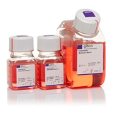 5936. KIT DE DIFERENCIACION DE CARDIOMIOCITOS PSC - GIBCO