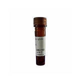 14616. GOAT ANTI-MOUSE IGG-HEAVY AND LIGHT CHAIN ANTIBODY BIOTINYLATED 1MG - BETHYL LABS