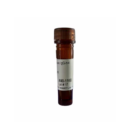 14616. GOAT ANTI-MOUSE IGG-HEAVY AND LIGHT CHAIN ANTIBODY BIOTINYLATED 1MG - BETHYL LABS