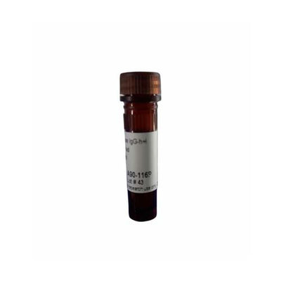 14617. GOAT ANTI-MOUSE IGG-HEAVY AND LIGHT CHAIN ANTIBODY HRP CONJUGATED 1MG - BETHYL LABS
