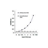 26467. METHYLATED DNA QUANTIFICATION KIT (COLORIMETRIC) 48 TESTS ABCAM