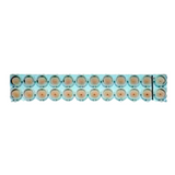 55749. INFLUENZA A VIRUS HEMAGGLUTININ H7 FULL LENGTH PROTEIN 50UG - ABCAM