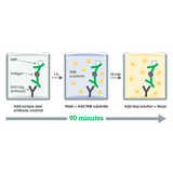 56839. HUMAN FOLLISTATIN ELISA KIT 1 X 96 TESTS ABCAM