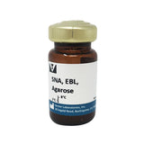 5213. SAMBUCUS NIGRA LECTIN (SNA, EBL) AGAROSE BOUND 2ML - VECTOR