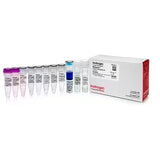 26800. KIT DE TRANSCRIPCION MAXISCRIPT SP6/T7 100 REACCIONES INVITROGEN