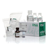 52771. KIT DE AISLAMIENTO DE ARN TOTAL RNAQUEOUS 50 PRUEBAS - INVITROGEN