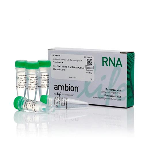 3017. PROTEINASE K (20MG/ML), 5X1.25ML - APPLIED BIOSYSTEMS