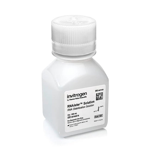 50623. SOLUCION DE ESTABILIZACIÓN RNA LATER 100ML - INVITROGEN