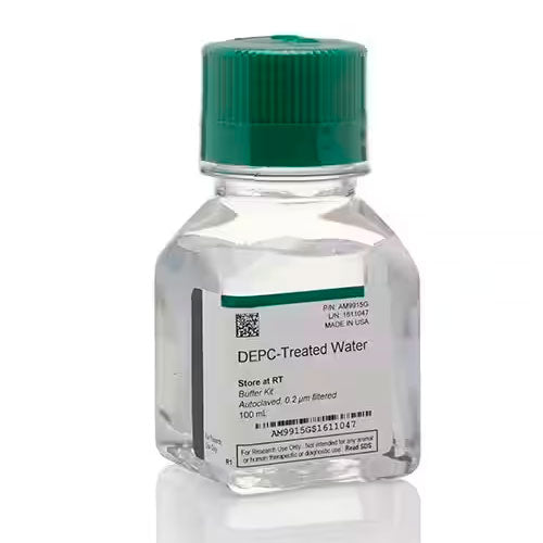 24650. AGUA TRATADA C/DEPC 500ML INVITROGEN