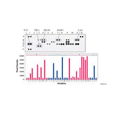 15845. PROTEOME PROFILER MOUSE CYTOKINE ARRAY KIT, PANEL A - R&D SYSTEMS