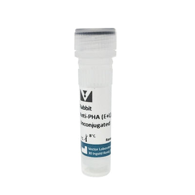 5216. RABBIT ANTI-PHASEOLUS VULGARIS AGGLUTININ (E+L) UNCONJUGATED 1MG - VECTOR