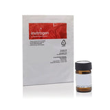53504. X-GAL (5-BROMO-4-CLORO-3-INDOLIL BETA-D-GALACTOPIRANOSIDO) 1GR - INVITROGEN