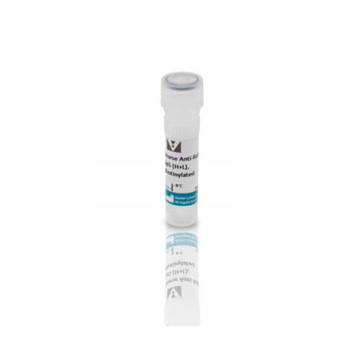 22713. HORSE ANTI-RABBIT IGG ANTIBODY (H+L) BIOTINYLATED 1.5MG VECTOR