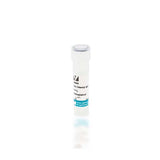 20575. RABBIT ANTI-SHEEP IGG ANTIBODY (H+L) BIOTINYLATED 1.5MG - VECTOR