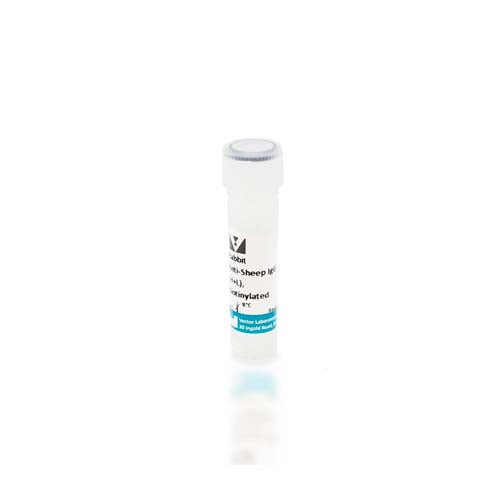20575. RABBIT ANTI-SHEEP IGG ANTIBODY (H+L) BIOTINYLATED 1.5MG - VECTOR
