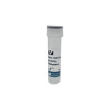 6671. HORSE ANTI-GOAT IGG ANTIBODY (H+L) BIOTINYLATED 1.5MG - VECTOR