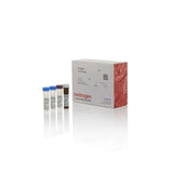53538. COMPLEMENT C3A HUMAN ELISA KIT 96 TESTS - INVITROGEN