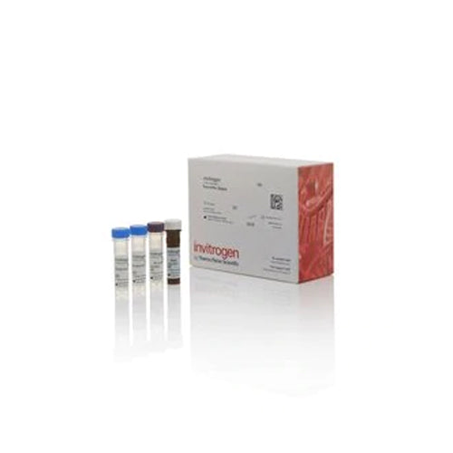 53538. COMPLEMENT C3A HUMAN ELISA KIT 96 TESTS - INVITROGEN