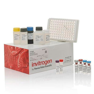 19991. IL-10 HUMAN ELISA KIT HIGH SENSITIVITY 96 TESTS - EBIOSCIENCE