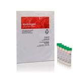 52860. CELLROX GREEN REAGENT FOR OXIDATIVE STRESS DETECTION 5 X 50UL - INVITROGEN