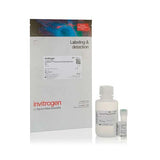 12147. CELLEVENT SENESCENCE GREEN DETECTION KIT 25UL - INVITROGEN