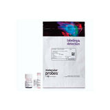 21861. DIRECT CELL PROLIFERATION ASSAY CYQUANT 10 MICROPLATES - INVITROGEN