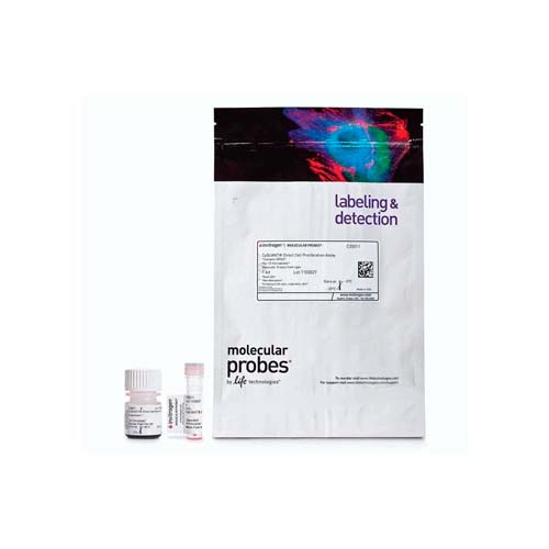 21861. DIRECT CELL PROLIFERATION ASSAY CYQUANT 10 MICROPLATES - INVITROGEN
