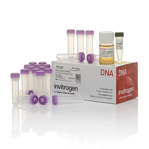 5949. E. COLI QUIMICAMENTE COMPETENTE ONE SHOT TOP10 21 X 50UL - INVITROGEN