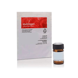 26867. CALCEINA ULTRA PURA 100MG INVITROGEN