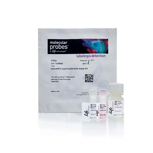 22736. ENSAYO DE PROLIFERACION CELULAR CYQUANT P/CELULAS EN CULTIVO 1000 ENSAYOS INVITROGEN