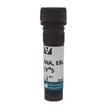 5231. SAMBUCUS NIGRA LECTIN (SNA, EBL) CY5 1MG - VECTOR