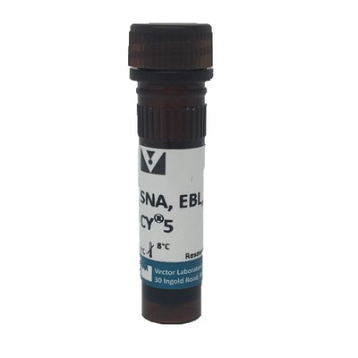 5231. SAMBUCUS NIGRA LECTIN (SNA, EBL) CY5 1MG - VECTOR